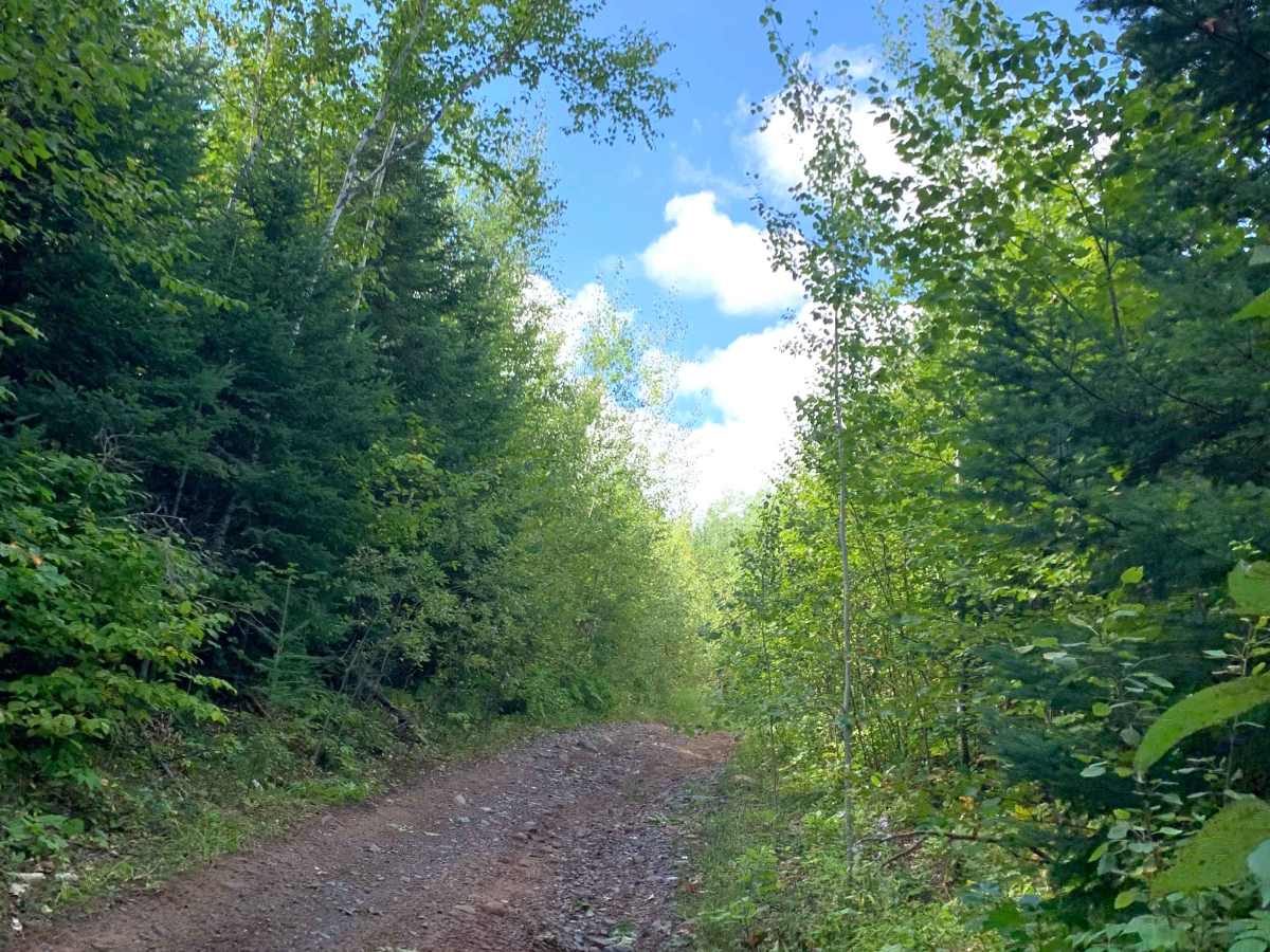 Berthiaume Trail photo 5
