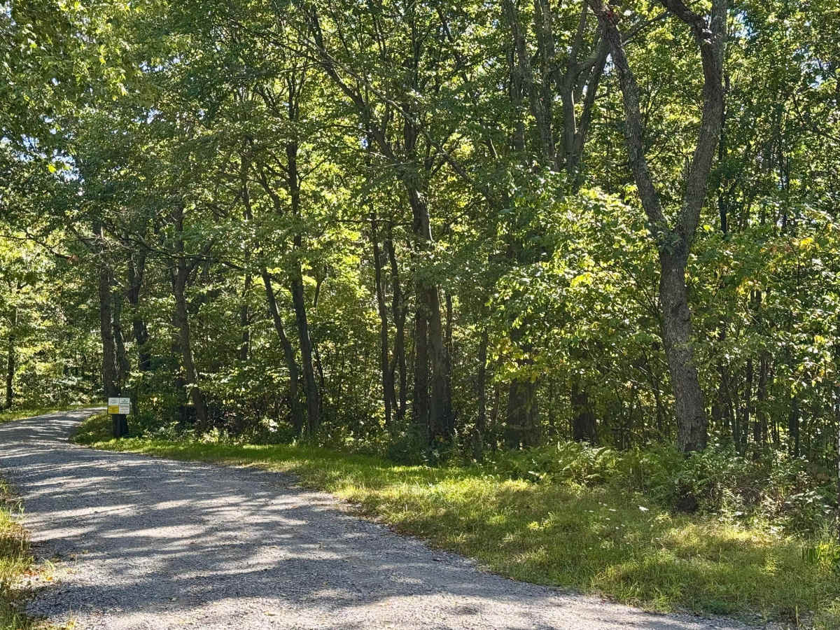 Fisher Road photo 2