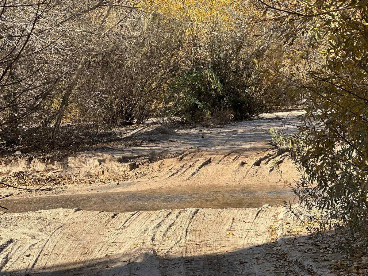 Cleghorn Tracks photo 4