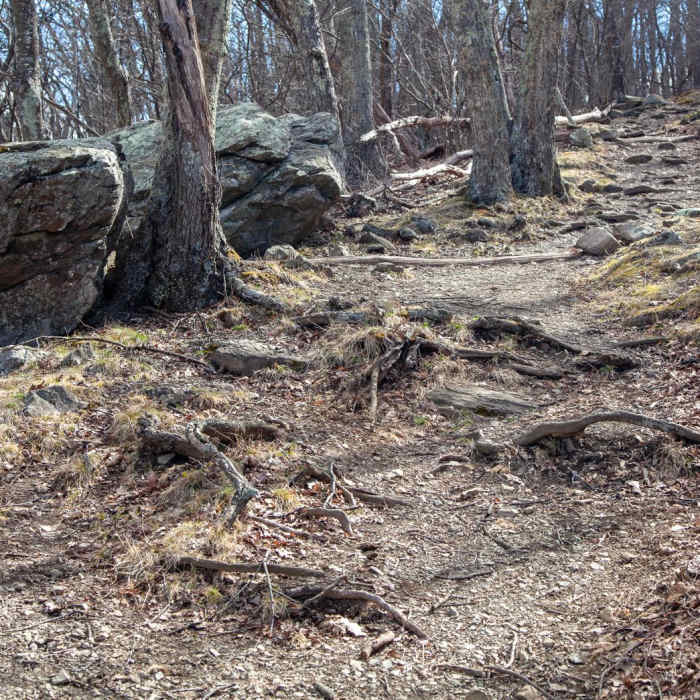 Near Lewis Falls from Big Meadows Campground