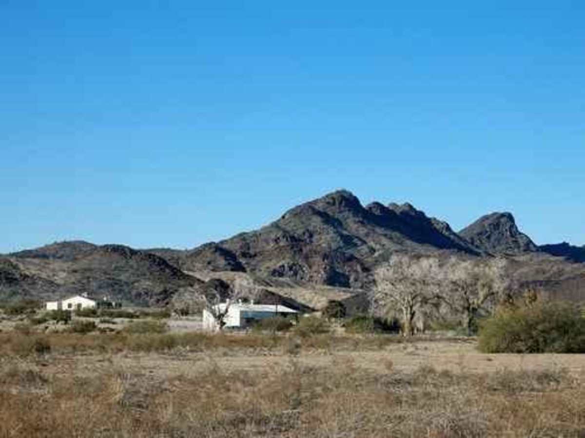 Planet Ranch to Alamo Road photo 4