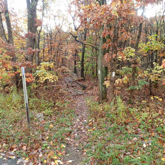Near Appalachian Trail - Stokes S.F. North Near Appalachian Trail - Stokes S.F. North