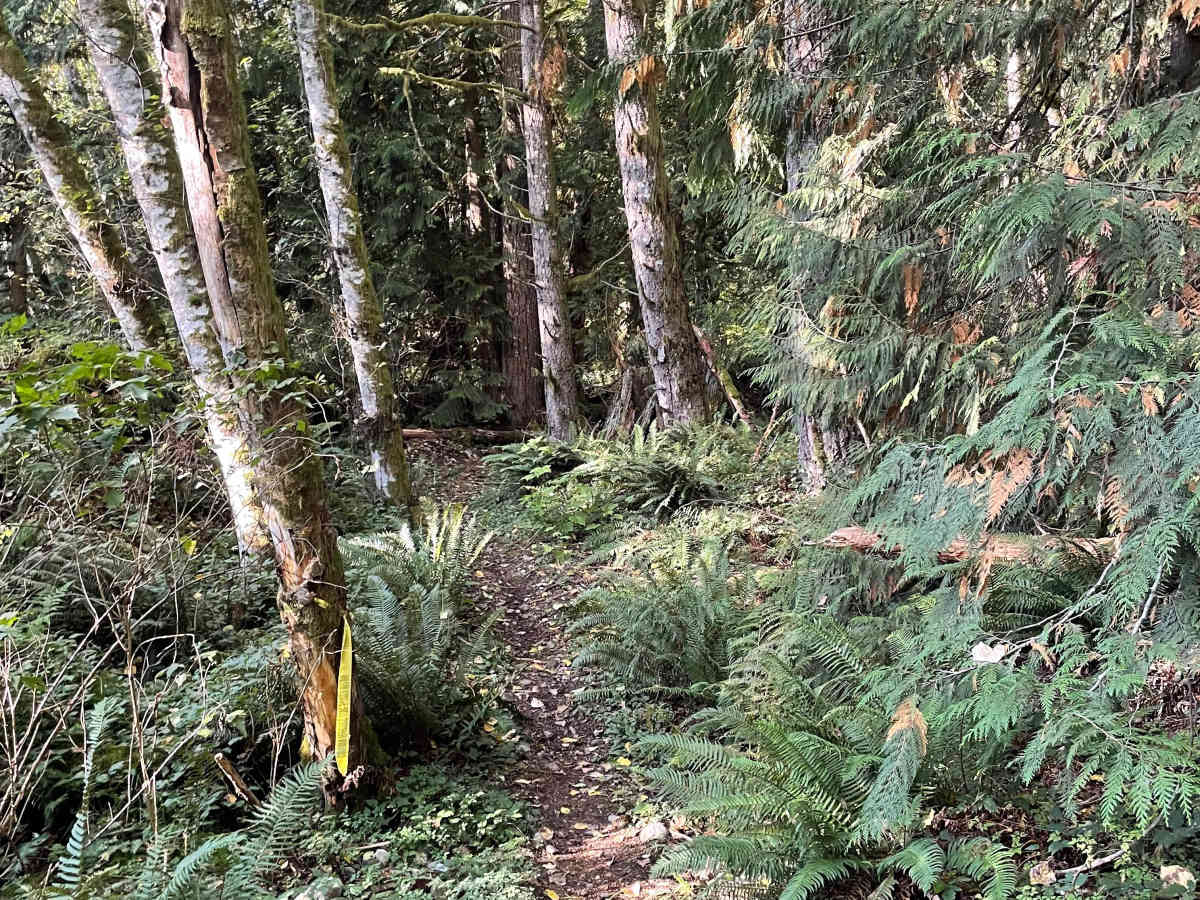 Entrance Trail photo 2