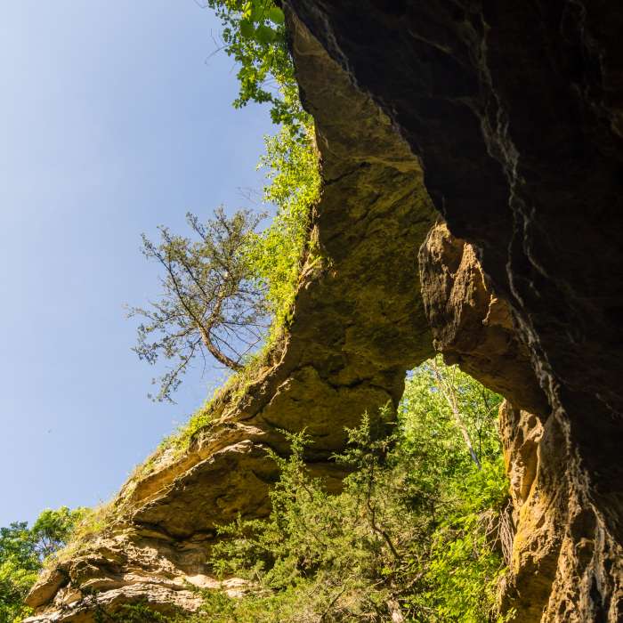Near Natural Bridge State Park Loop