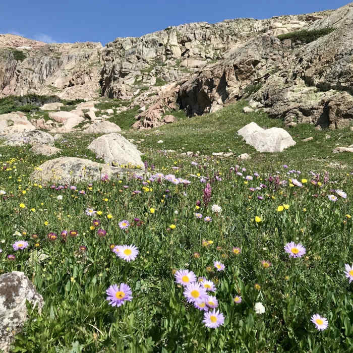 Near Saddle Trail