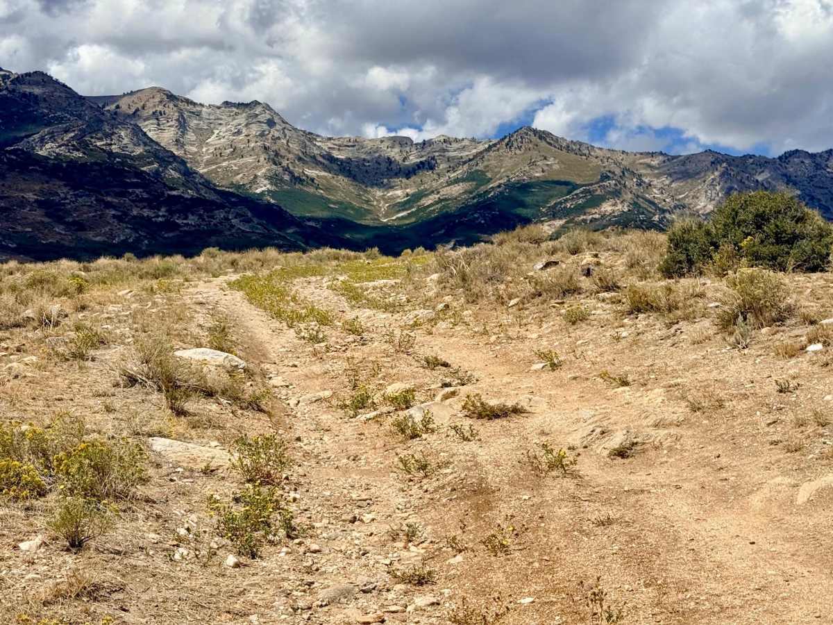 Thompson Creek - FS 57509 photo 4