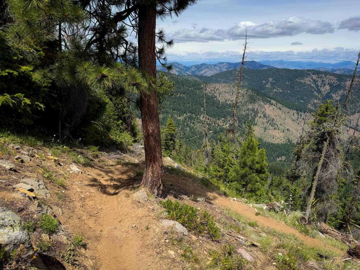 Foggy Dew Ridge - 438  photo 6