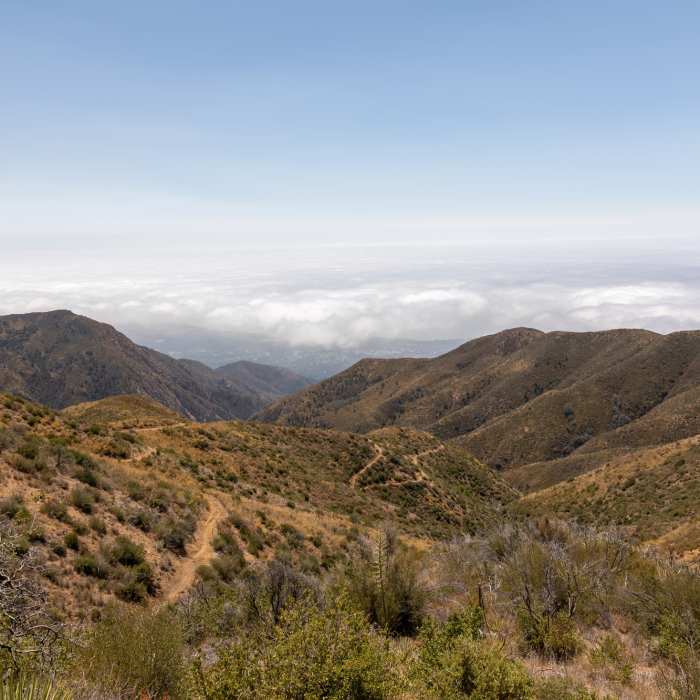 Near San Ysidro Trail