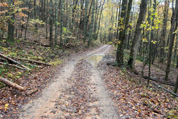 Toccoa River Road - FS 333