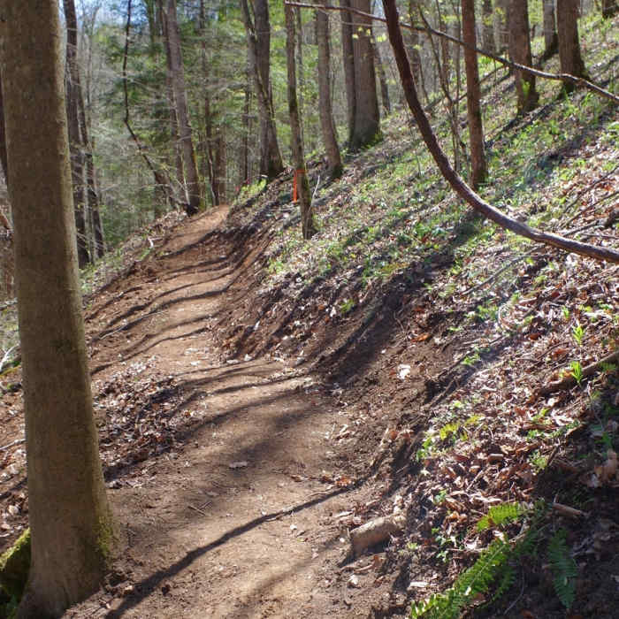 Newly cut Flat Hollow Arch Trail. Near Bald Rock Loop