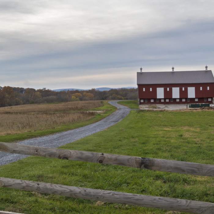 Near Monocacy Battlefield - Thomas Farm