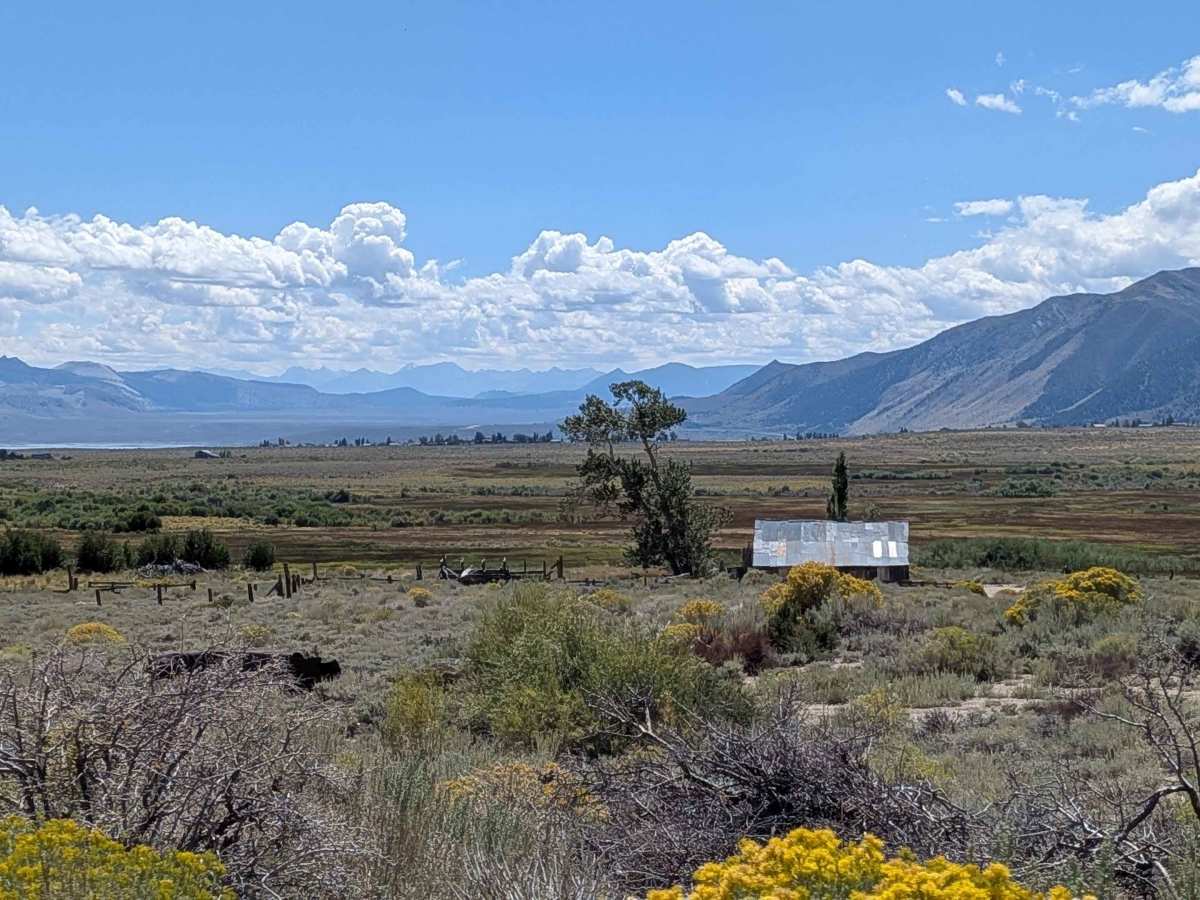 Conway Ranch Road trail photo