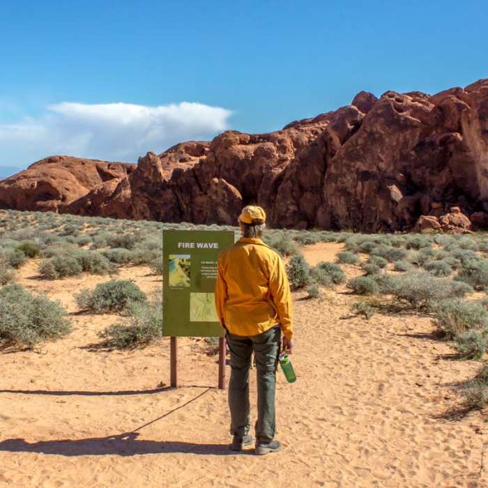 Near Fire Wave Trail