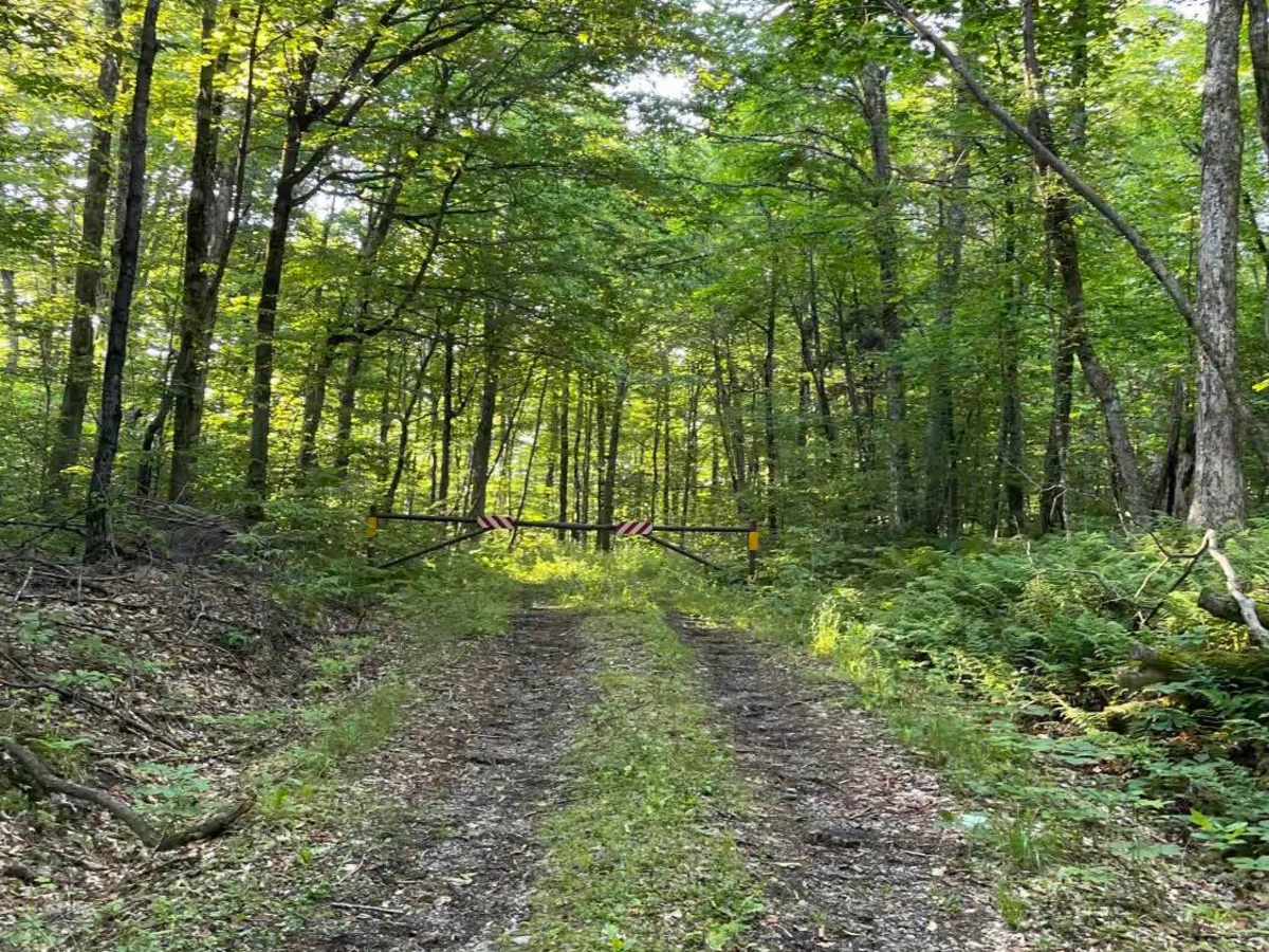 Old Job Rd Trail photo 5
