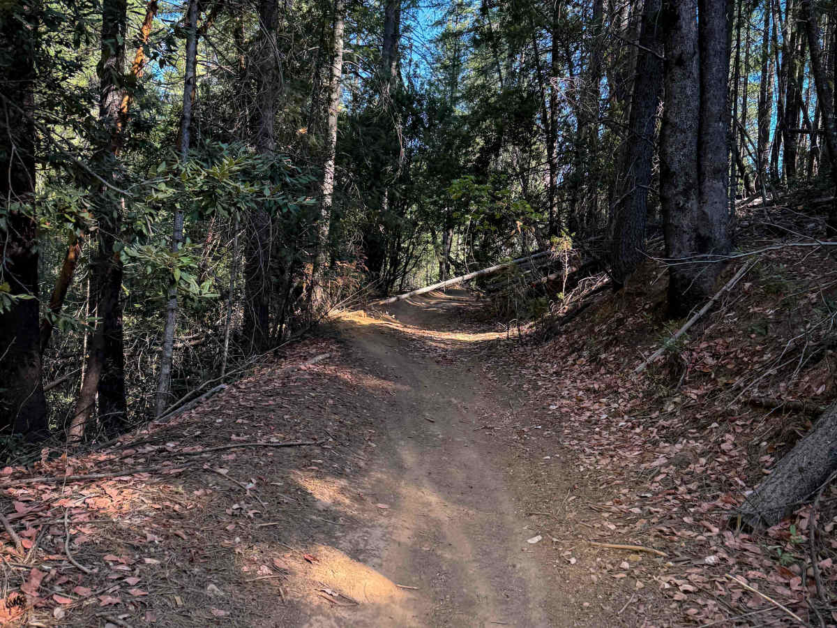 Trail 3-1 ATV (11E16)  photo 6