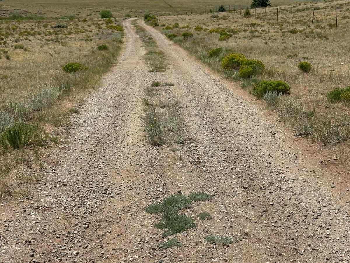 Ponderosa Road photo 2