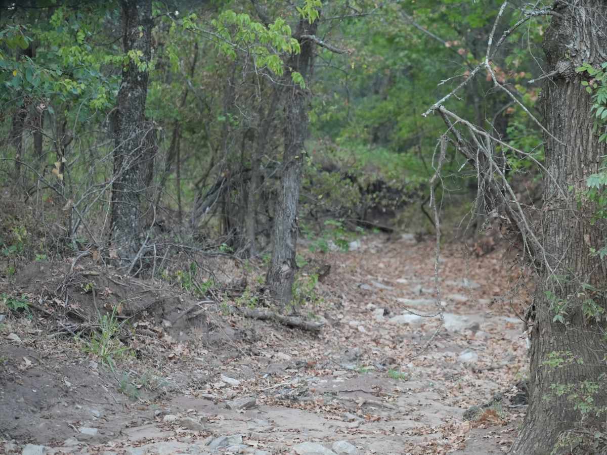 Blue 45 trail photo