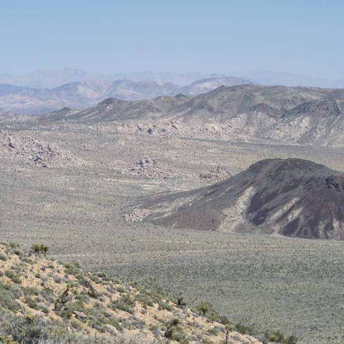 Near Lost Horse Mine Hike