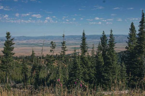 Gold Creek