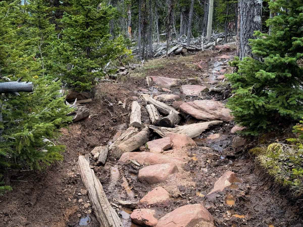 Uinta Highline #025  photo 6