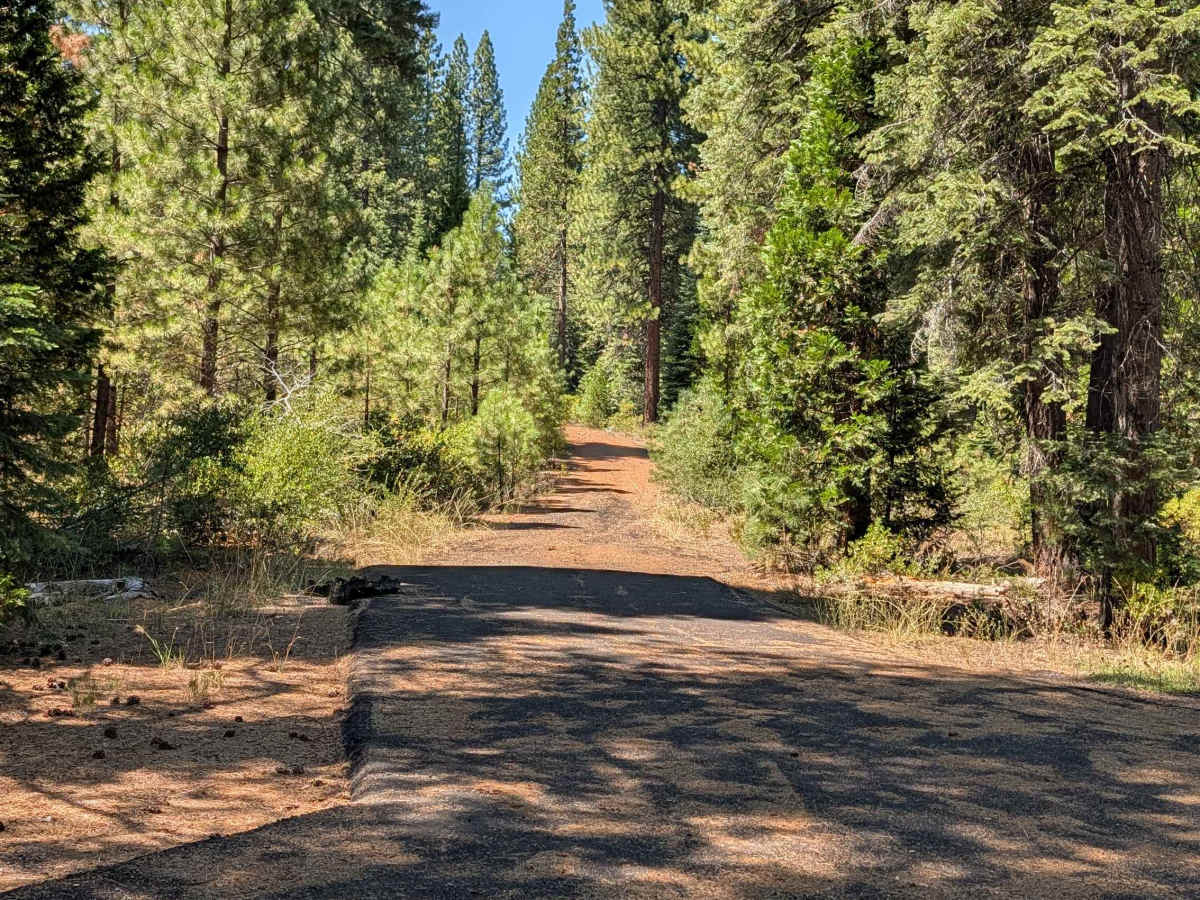 Ice River Ridge - FS 41N10X trail photo