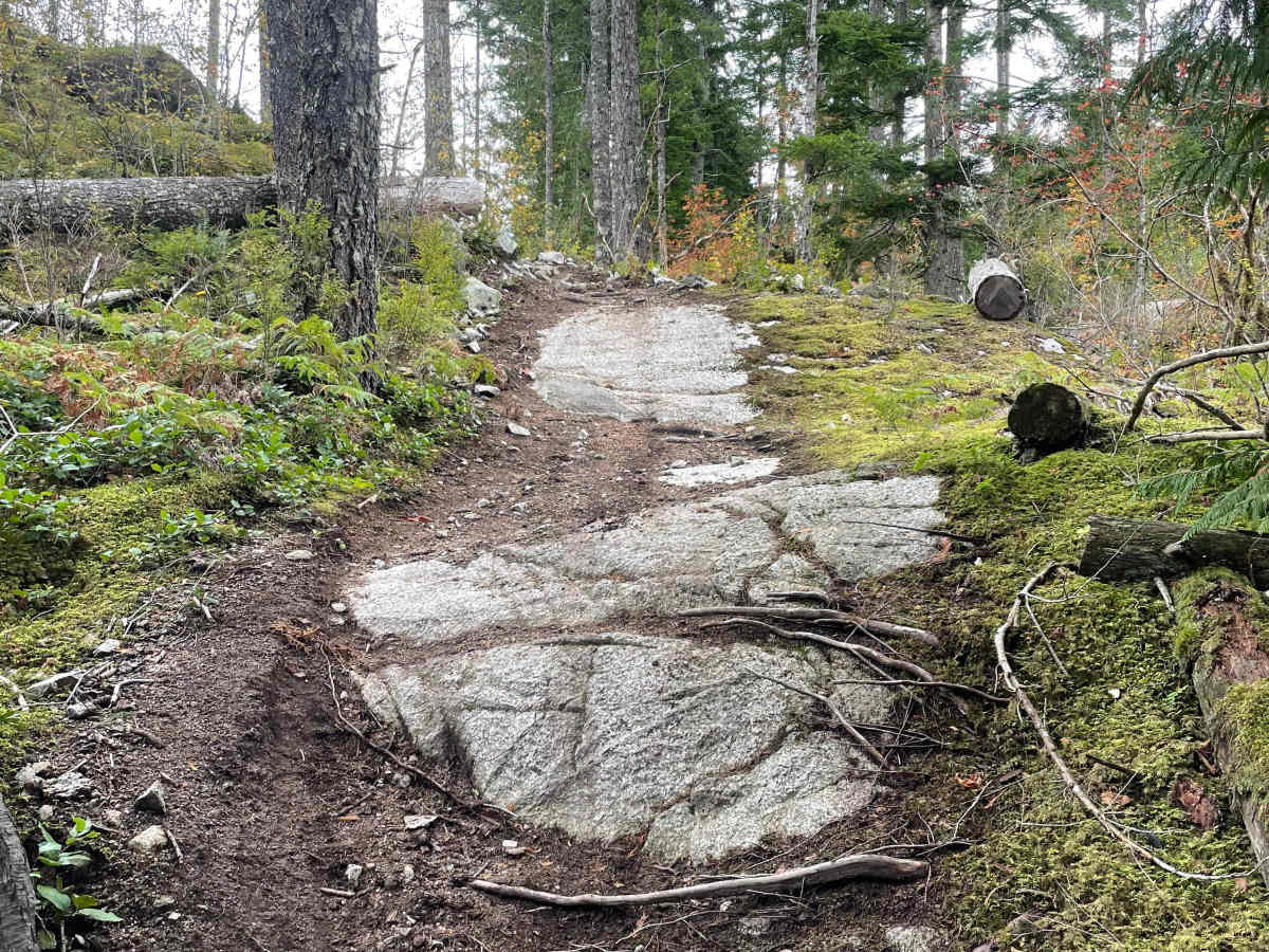 Wolf Trail photo 3