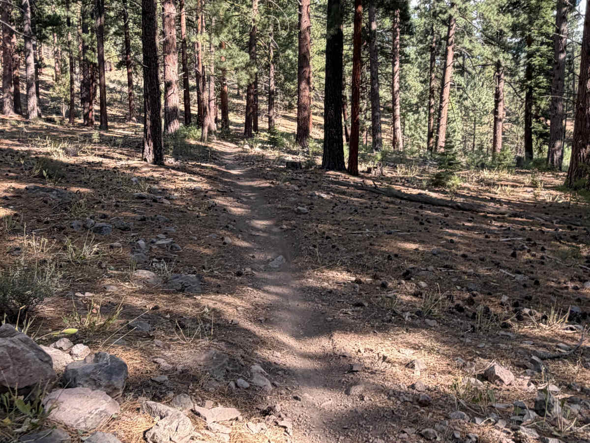 Beer Run Trail Upper photo 2