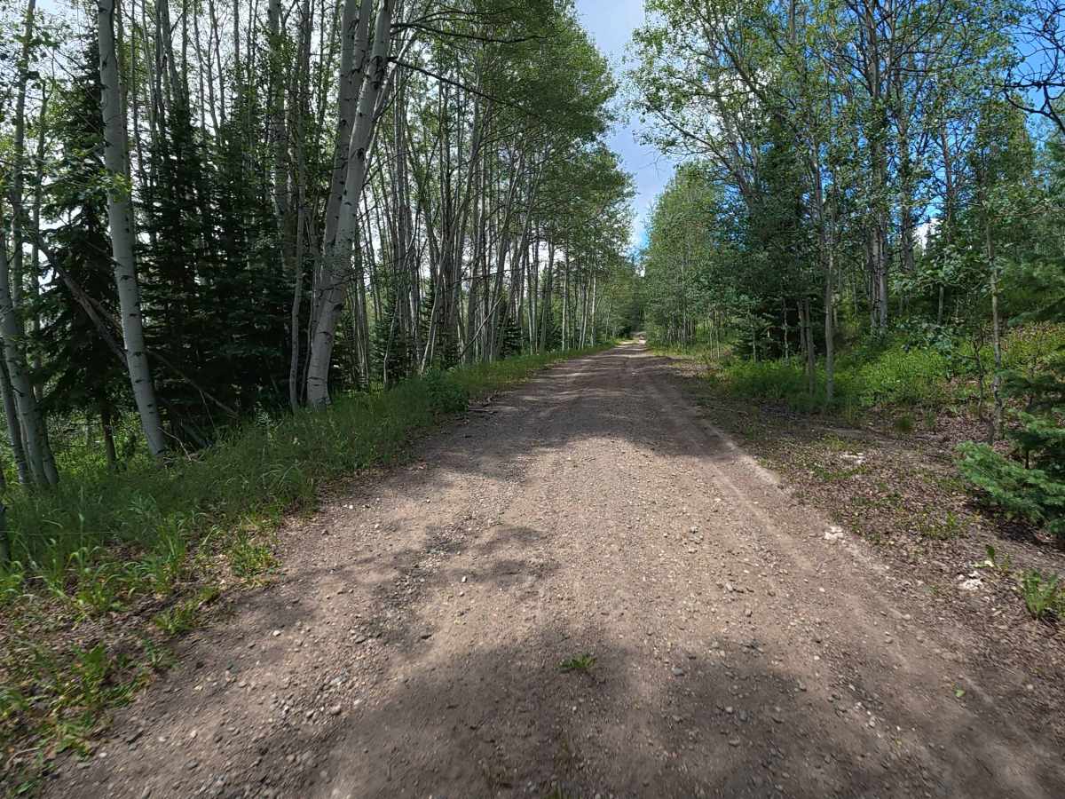 County Road 216 trail photo