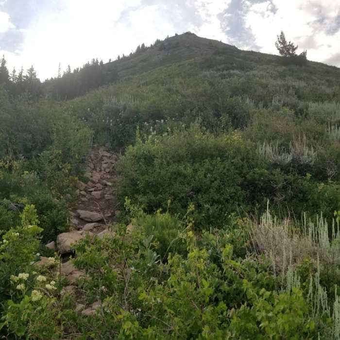 Near Provo Peak Trail