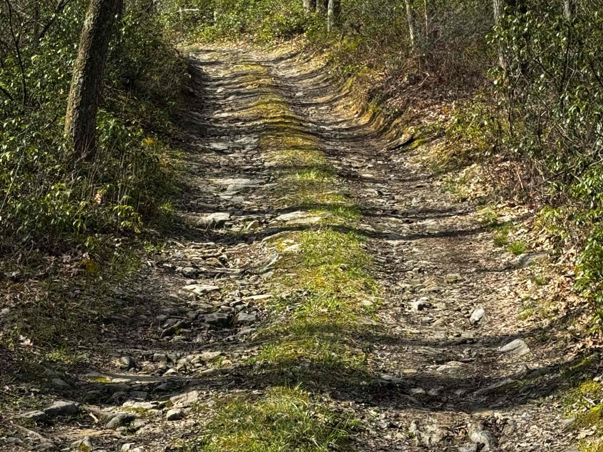 Dishpan Hollow Road photo 6