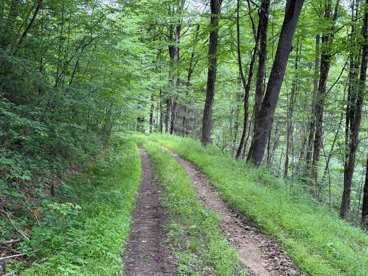 Barker Trail photo 6