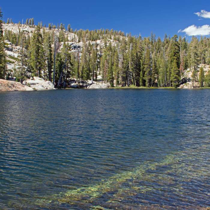 Near Norris Lake Trail to Jackass Lakes