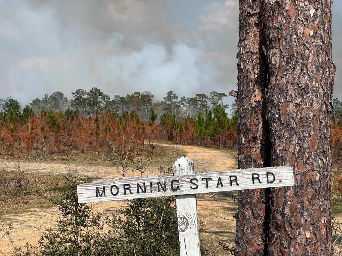 Morning Star Road photo 2