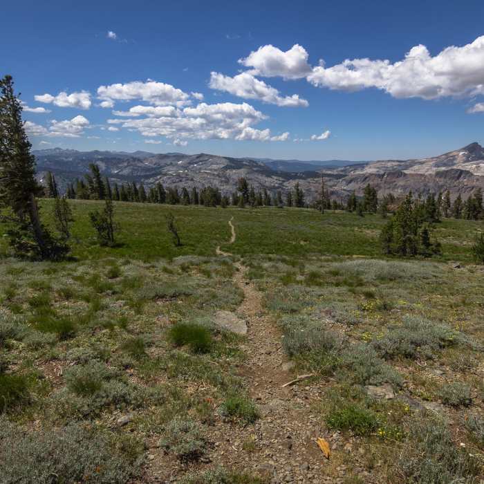 Near USFS Trail 17E06.1