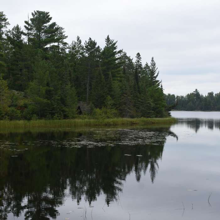 Near Secret/Blackstone Trail