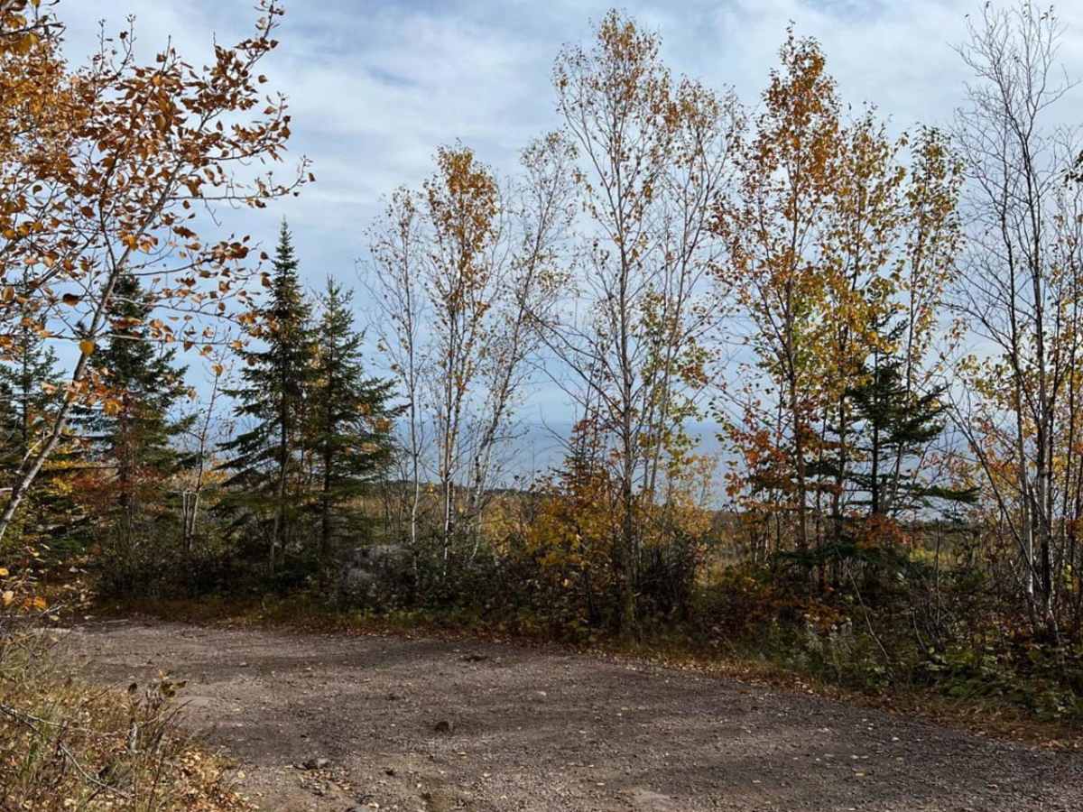 Temperance River Backroad Scenic Drive trail photo
