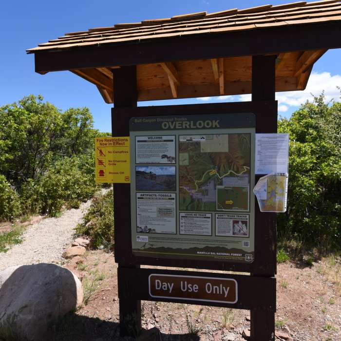 Near Bull Canyon Dinosaur Track Trail