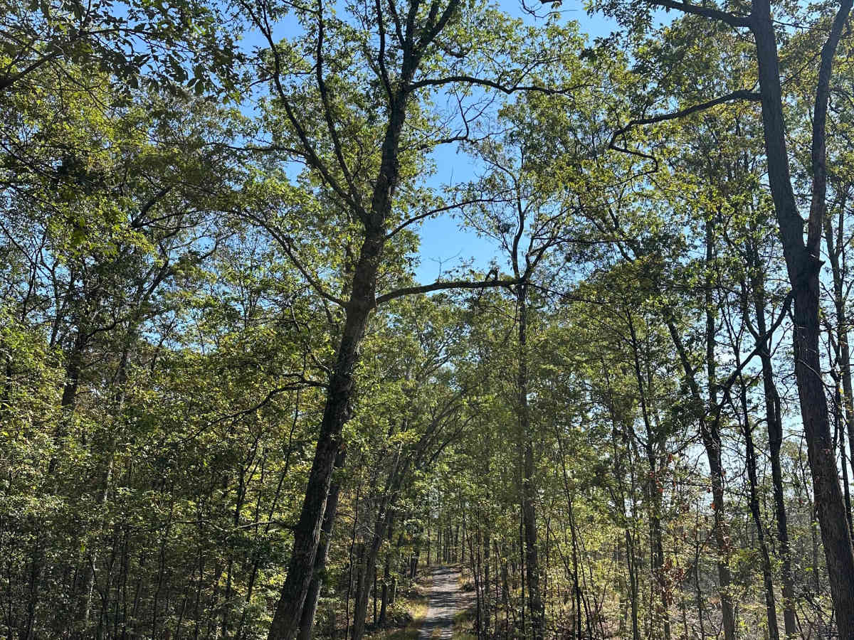 Gordon Road  trail photo