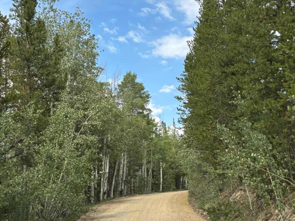Willow Creek Road photo 3