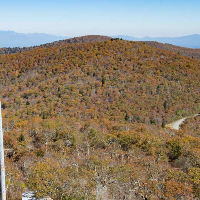 Near Frying Pan Lookout Tower Near Frying Pan Lookout Tower