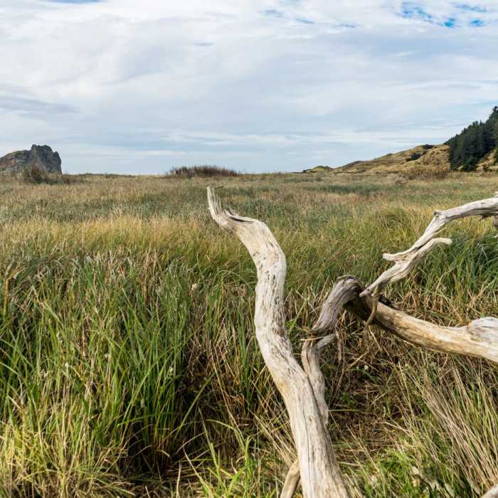 Near River Trail Hike