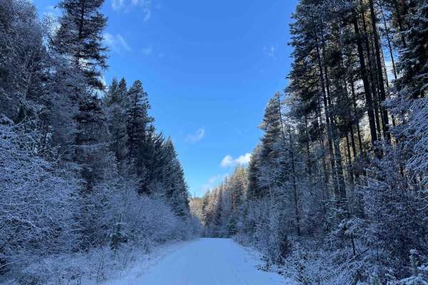 Long Route to Bouleau Lake