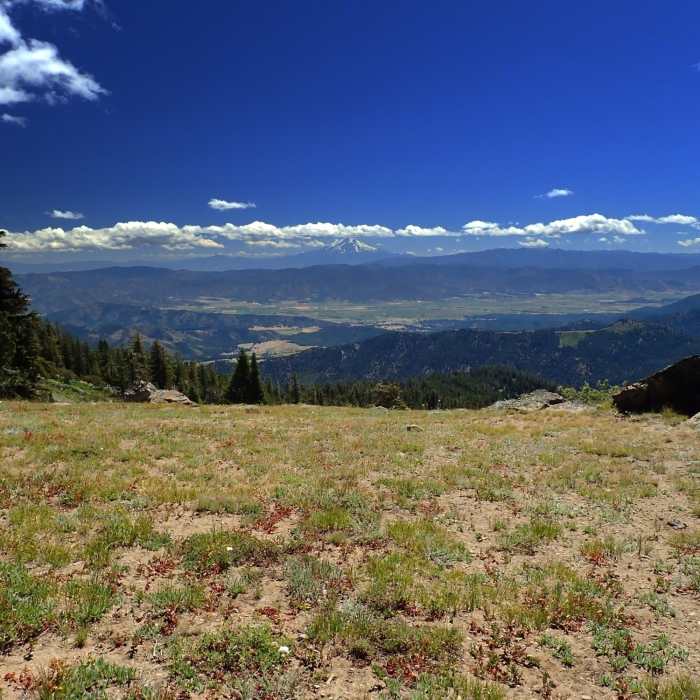 Near Second Valley Trail #5529