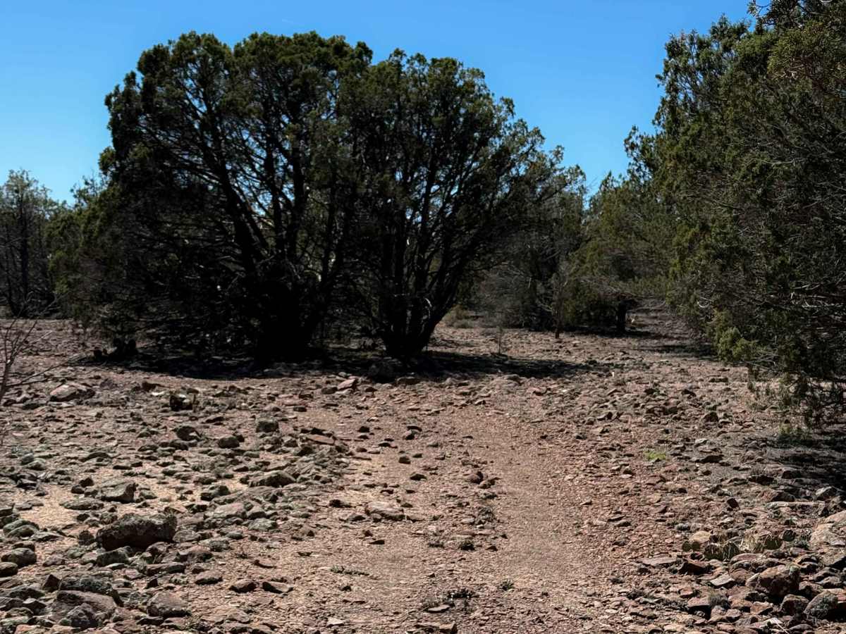 Tailhoit Mesa Trail #666  photo 6