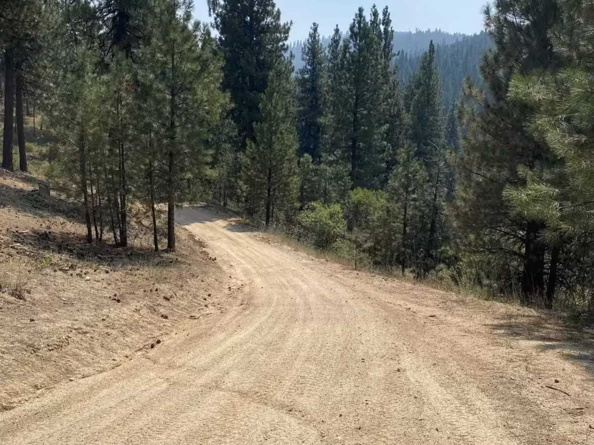 Grayback Gulch - 347 photo 4