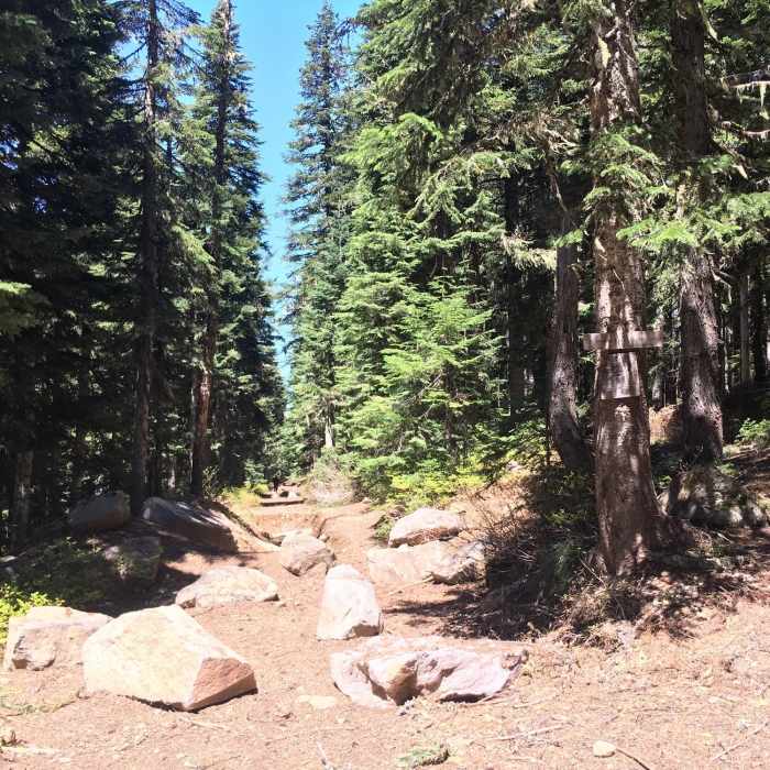 Near Shining Lake Trail #510