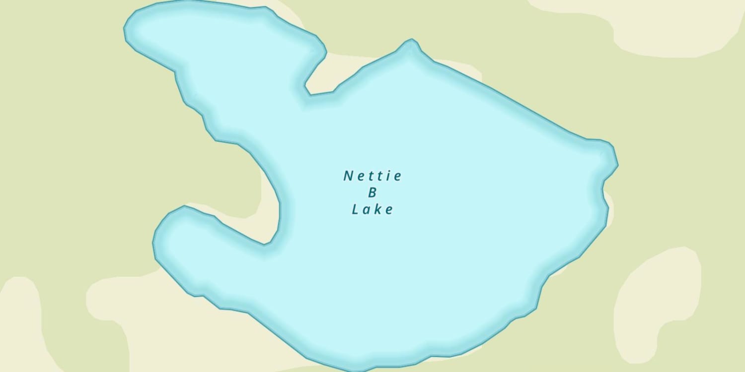 Nettie B Lake