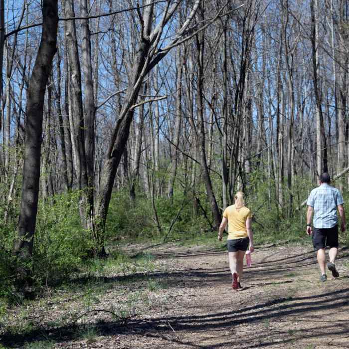 Near Jacobsburg Trail Near Jacobsburg Trail