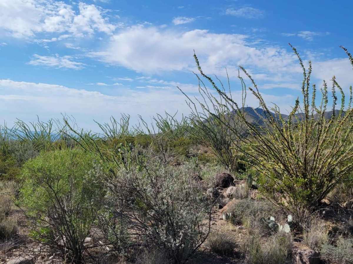 Juniper Canyon photo 5
