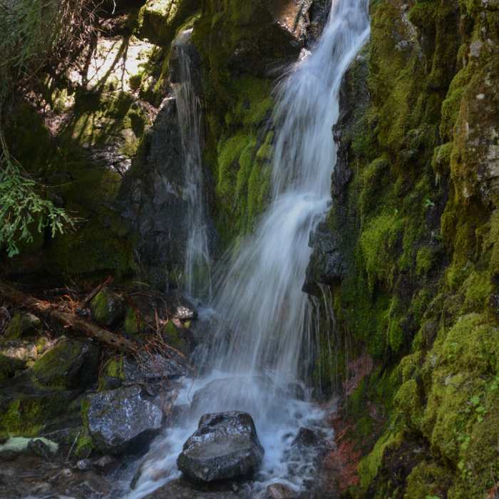 Near Grizzly Peak Trail #3428